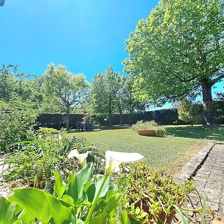 Holiday home Casa Olga