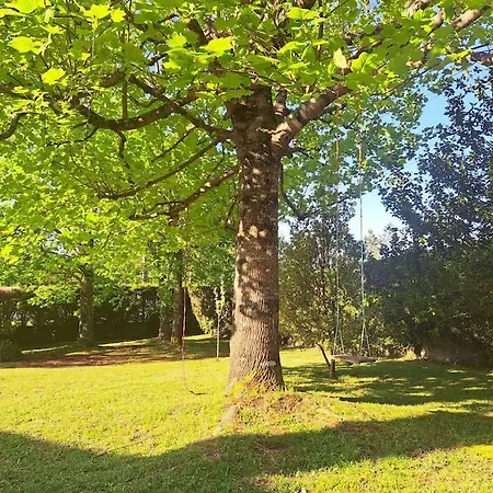 Casa Olga Tomino